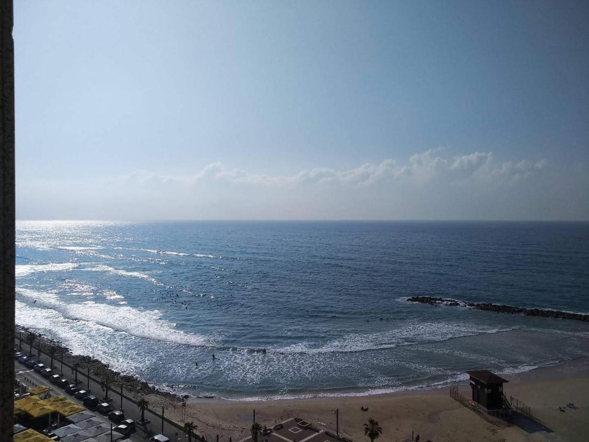 Almogim- Almog Building Haifa Room photo